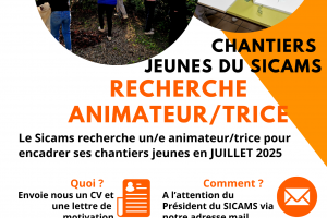 Animateur/trice Chantiers jeunes