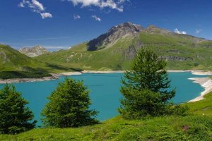 Un été tout en beauté